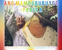 Ang Mambububuyog .